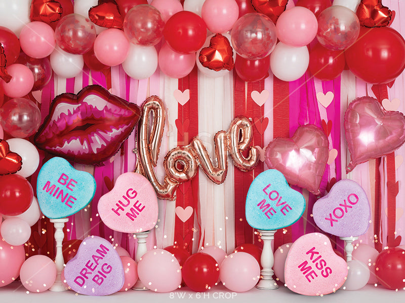 Valentine's Party - HSD Photography Backdrops 