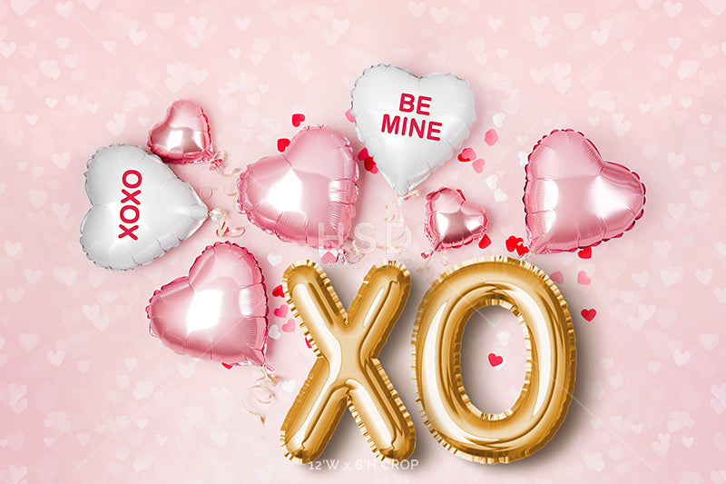 XOXO & Balloons - HSD Photography Backdrops 