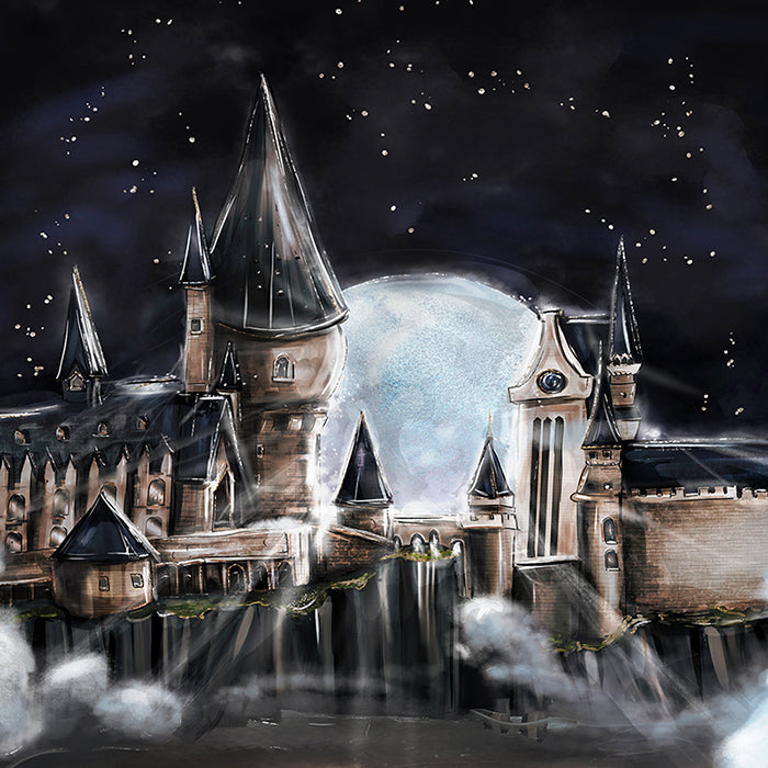 Harry Potter Photo Backdrop Hogwarts Castle Backdrop Inspired
