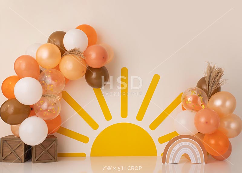 Little Sunshine - HSD Photography Backdrops 