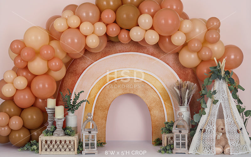 Boho Rainbow Balloon - HSD Photography Backdrops 