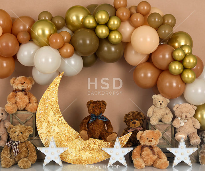 Teddy Bear Balloons - HSD Photography Backdrops 