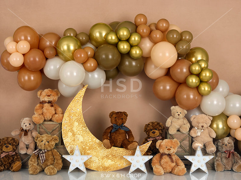 Teddy Bear Balloons - HSD Photography Backdrops 