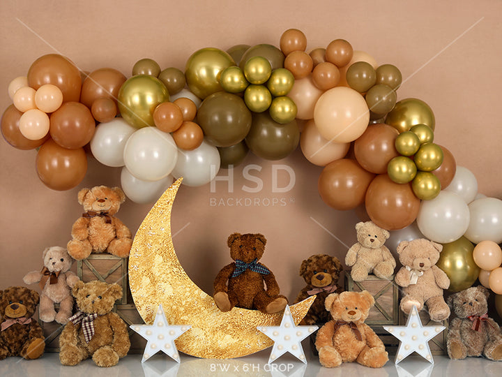 Teddy Bear Balloons - HSD Photography Backdrops 