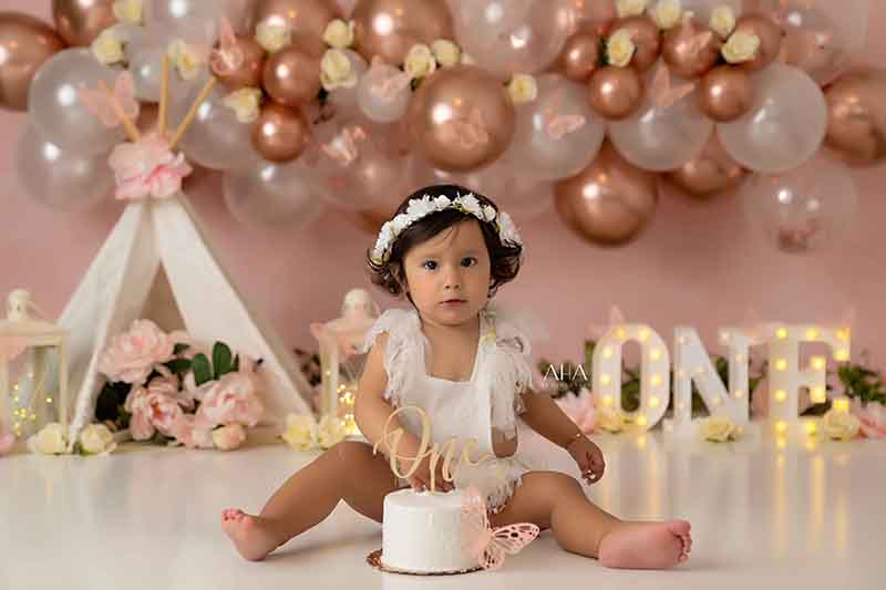 Boho Butterfly Birthday (ONE) - HSD Photography Backdrops 