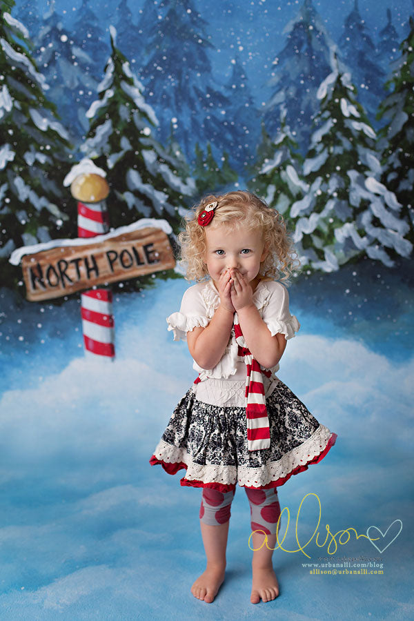 To the North Pole - HSD Photography Backdrops 